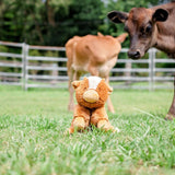 Billy Cow Medium Soft Toy